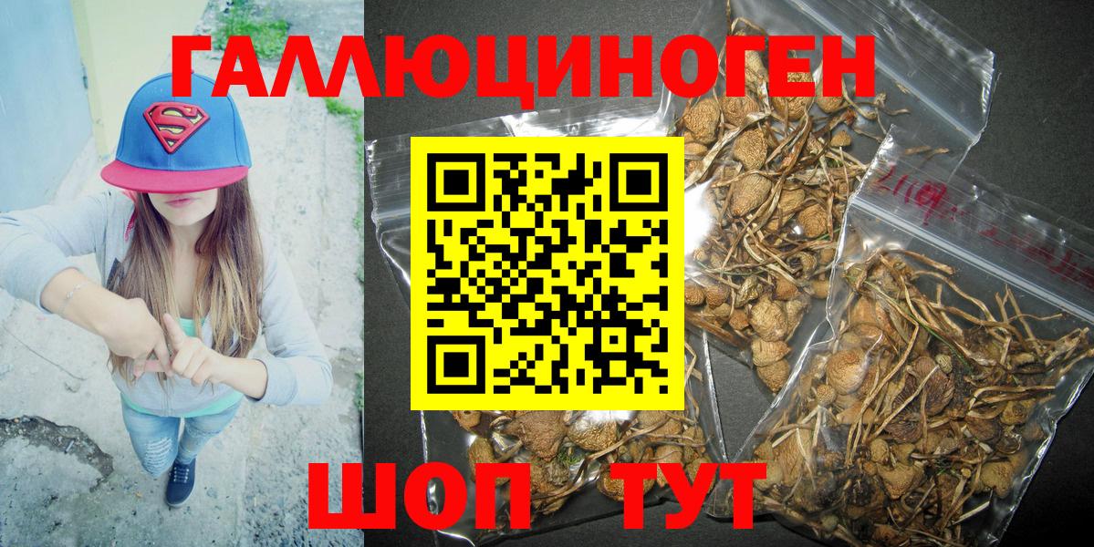 Псилоцибиновые грибы MAGIC MUSHROOMS Дзержинский
