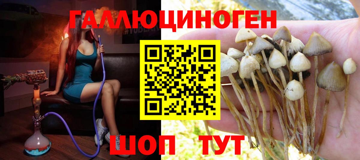 Галлюциногенные грибы мухоморы  Галлюциногенные грибы Psilocybe  Вход с VPN  Дзержинский 